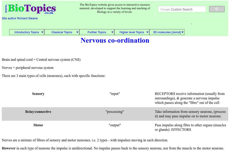 Bio Topics: Nervous Co Ordination Handout Bio Topics: Nervous Co Ordination Handout