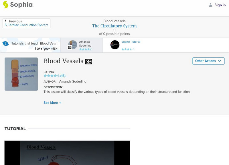 Sophia: Blood Vessels Unit Plan