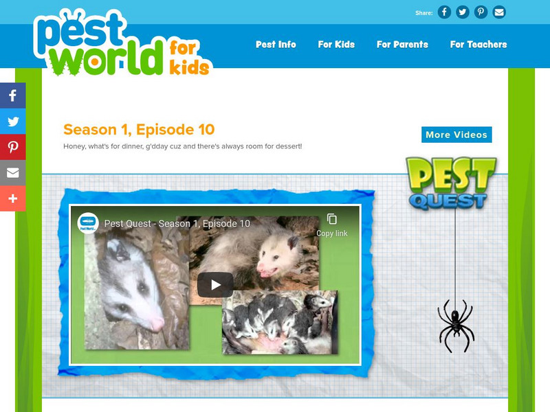 Pest World for Kids: Season 1: Episode 10 Instructional Video Pest World for Kids: Season 1: Episode 10 Instructional Video
