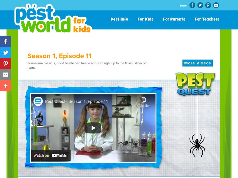 Pest World for Kids: Season 1: Episode 11 Instructional Video Pest World for Kids: Season 1: Episode 11 Instructional Video