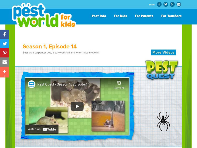 Pest World for Kids: Season 1: Episode 14 Instructional Video Pest World for Kids: Season 1: Episode 14 Instructional Video