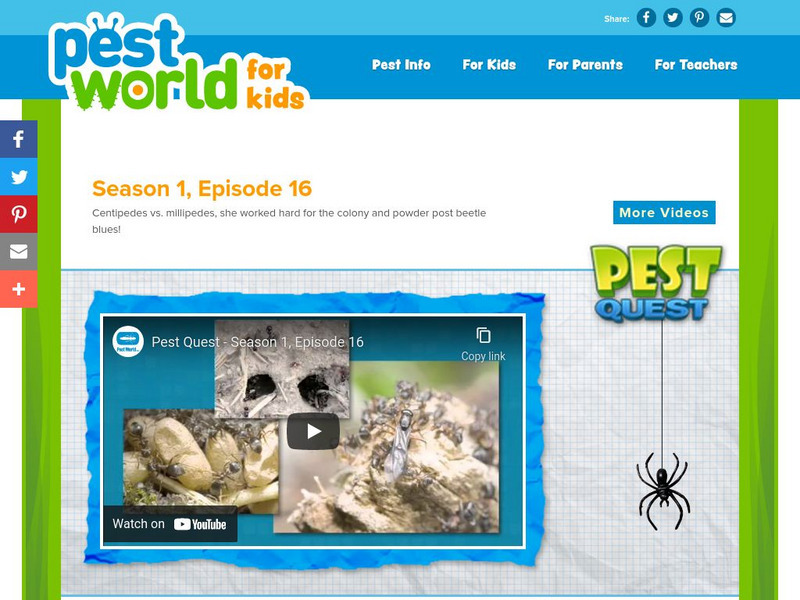 Pest World for Kids: Season 1: Episode 16 Instructional Video Pest World for Kids: Season 1: Episode 16 Instructional Video