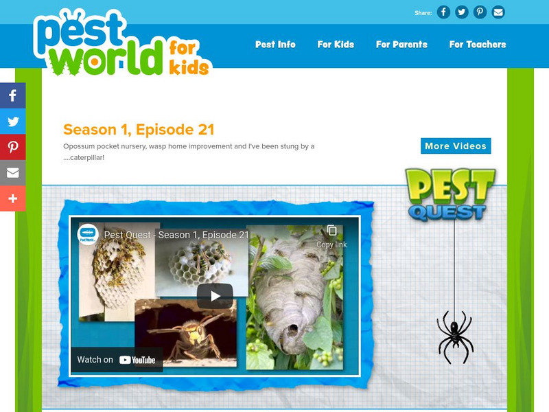 Pest World for Kids: Season 1: Episode 21 Instructional Video Pest World for Kids: Season 1: Episode 21 Instructional Video