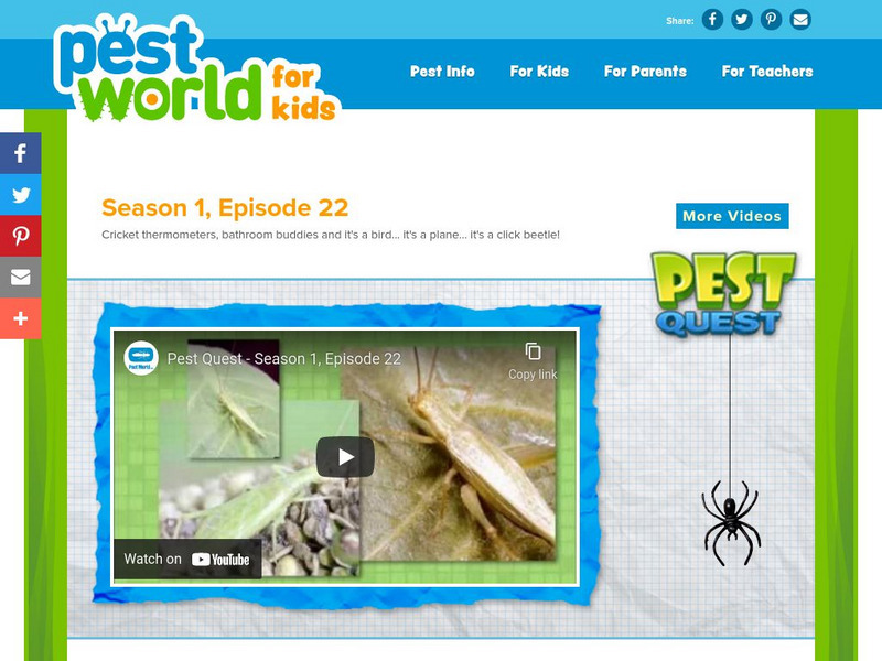 Pest World for Kids: Season 1: Episode 22 Instructional Video Pest World for Kids: Season 1: Episode 22 Instructional Video