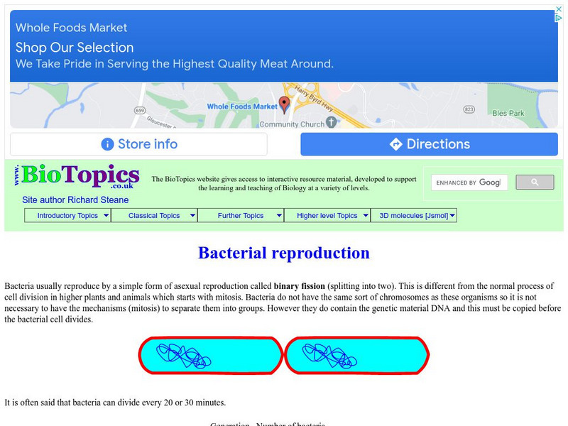 Bio Topics: Bacterial Reproduction Handout