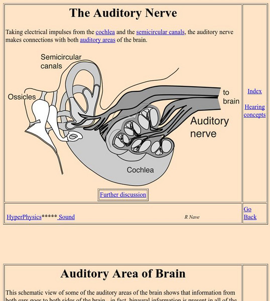 Georgia State University: Hyper Physics: The Auditory Nerve Handout Georgia State University: Hyper Physics: The Auditory Nerve Handout