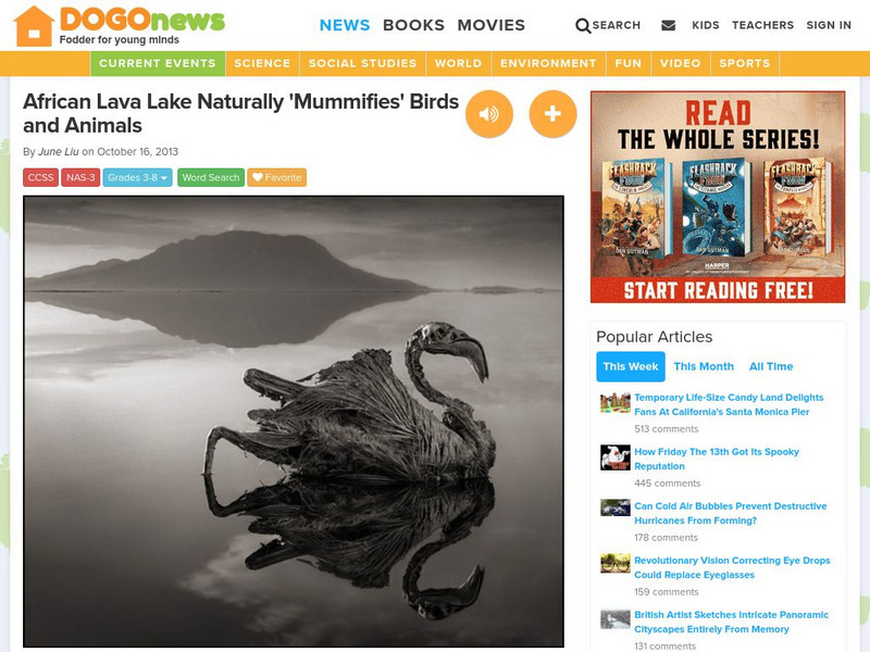 Dogo News: Week of 10 21 13: African Lava Lake Naturally 'Mumifies' Animals Article Dogo News: Week of 10 21 13: African Lava Lake Naturally 'Mumifies' Animals Article