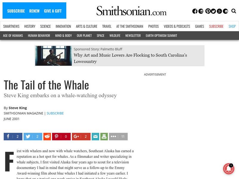 Kids'castle: The Tail of the Whale Article Kids'castle: The Tail of the Whale Article