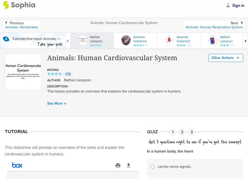 Sophia: Animals: Human Cardiovascular System: Lesson 1 PPT Sophia: Animals: Human Cardiovascular System: Lesson 1 PPT