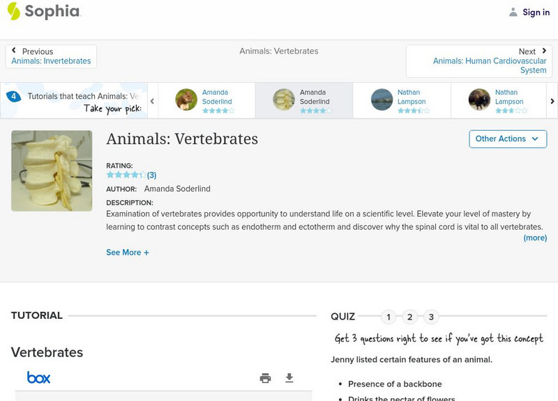 Sophia: Animals: Vertebrates: Lesson 3 PPT