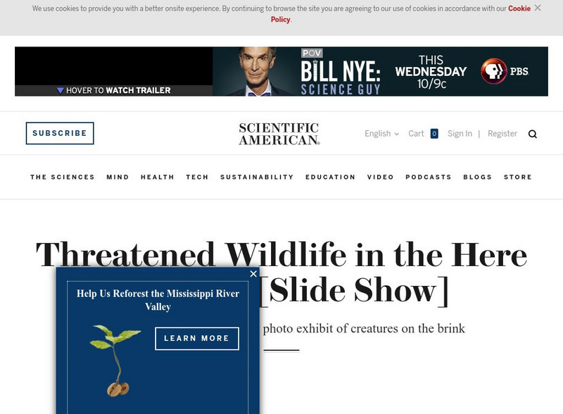 Scientific American Slideshow: Threatened Wildlife in the Here and Now PPT Scientific American Slideshow: Threatened Wildlife in the Here and Now PPT