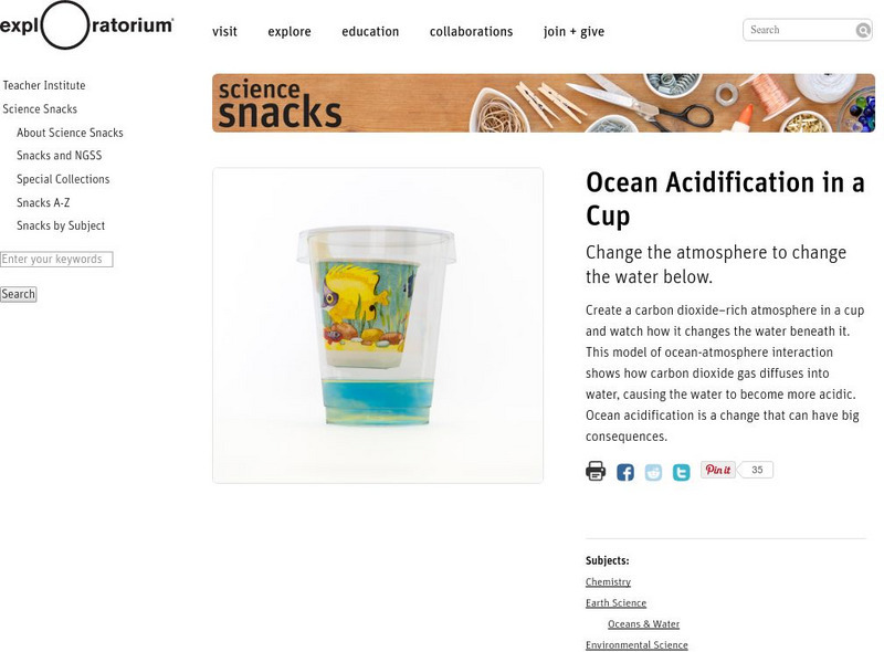 Exploratorium: Science Snacks: Ocean Acidification in a Cup Activity Exploratorium: Science Snacks: Ocean Acidification in a Cup Activity