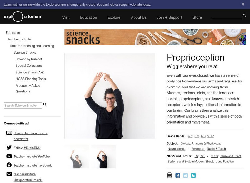 Exploratorium: Science Snacks: Proprioception Activity Exploratorium: Science Snacks: Proprioception Activity