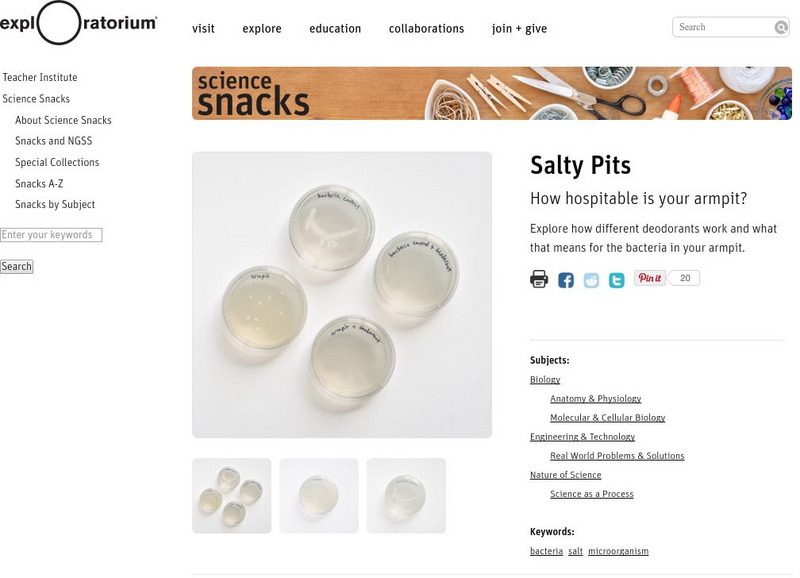 Exploratorium: Science Snacks: Salty Pits Activity Exploratorium: Science Snacks: Salty Pits Activity