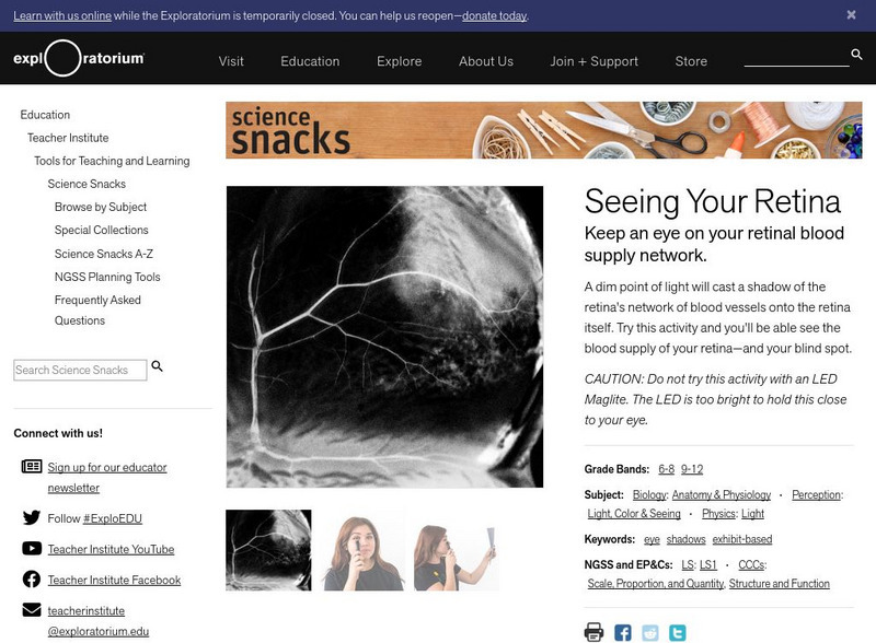 Exploratorium: Science Snacks: Seeing Your Retina Activity Exploratorium: Science Snacks: Seeing Your Retina Activity