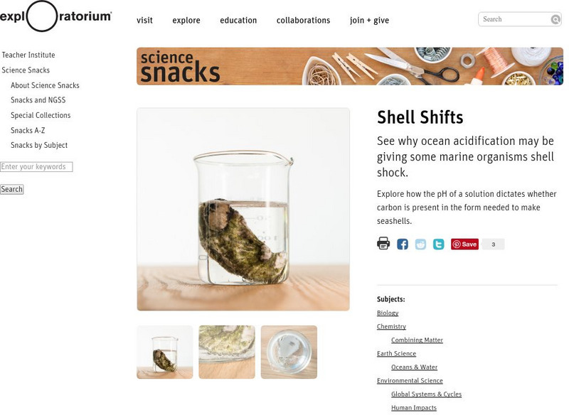 Exploratorium: Science Snacks: Shell Shifts Activity Exploratorium: Science Snacks: Shell Shifts Activity