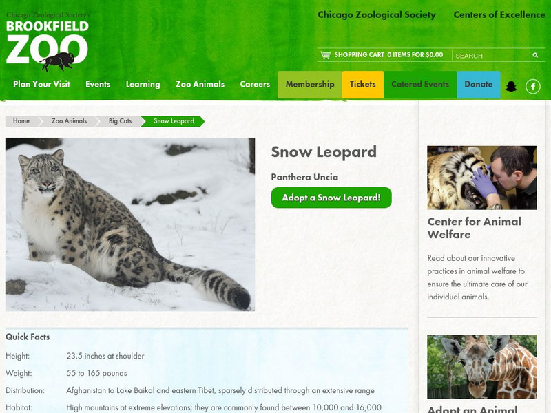 Chicago Zoological Society: Zoo Explorer: Snow Leopard Handout Chicago Zoological Society: Zoo Explorer: Snow Leopard Handout