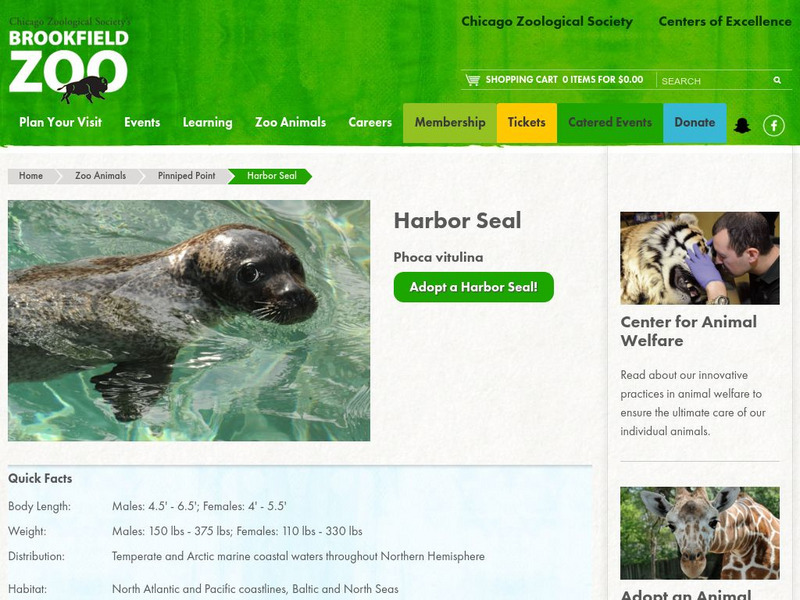 Chicago Zoological Society: Zoo Explorer: Harbor Seal Handout