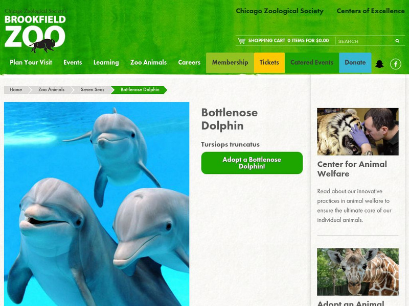 Chicago Zoological Society: Zoo Explorer: Bottlenose Dolphin Handout