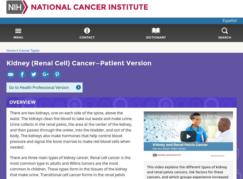 Cancer Institute: Kidney Cancer Treatment and Research Handout