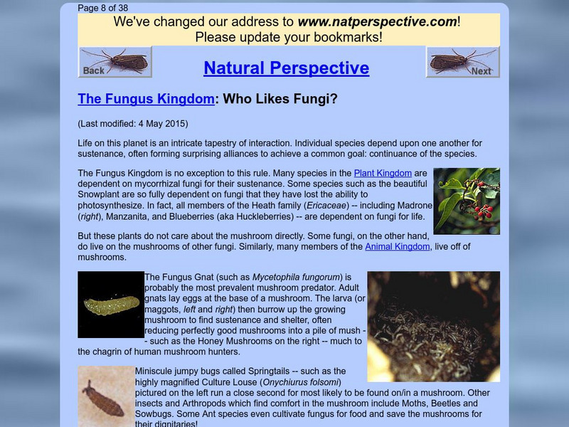 Natural Perspective: Who Likes Fungi? Handout Natural Perspective: Who Likes Fungi? Handout