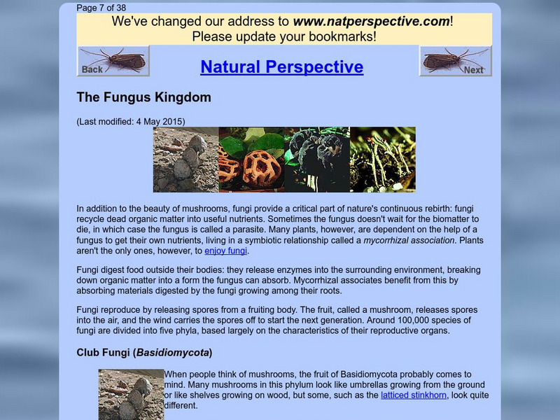 Perspective.com: The Fungus Kingdom Handout Perspective.com: The Fungus Kingdom Handout