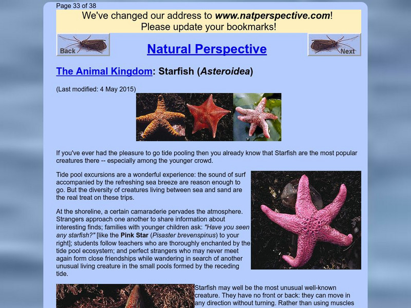 Natural Perspective: The Animal Kingdom: Starfish Handout Natural Perspective: The Animal Kingdom: Starfish Handout
