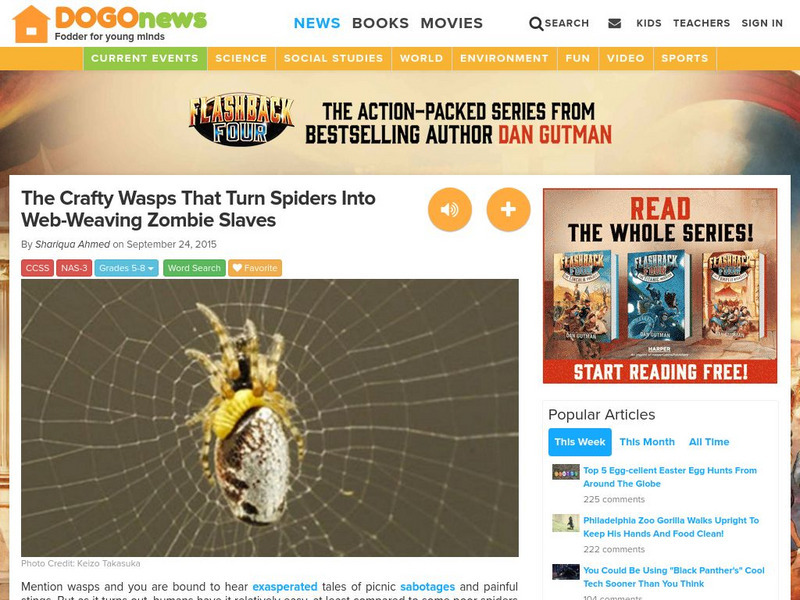 Dogo News: Crafty Wasps Turn Spiders Into Web Weaving Slaves Article