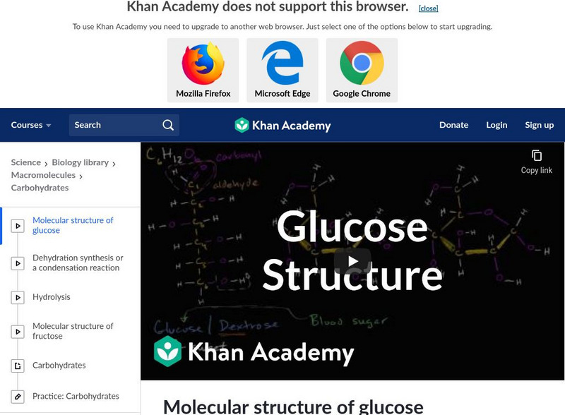 Khan Academy: Carbohydrates: Molecular Structure of Glucose Instructional Video Khan Academy: Carbohydrates: Molecular Structure of Glucose Instructional Video