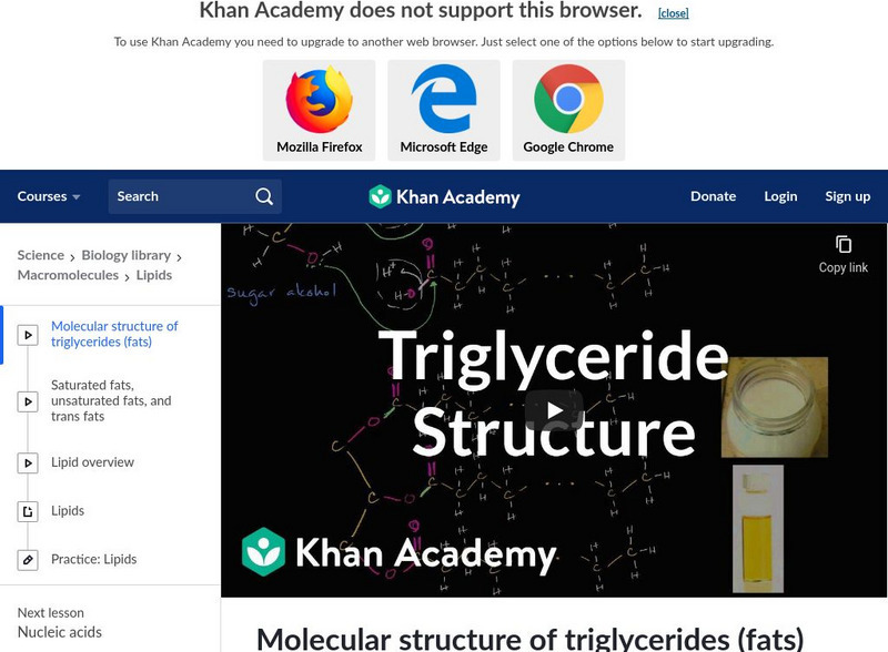 Khan Academy: Macromolecules: Molecular Structure of Triglycerides (Fats) Instructional Video