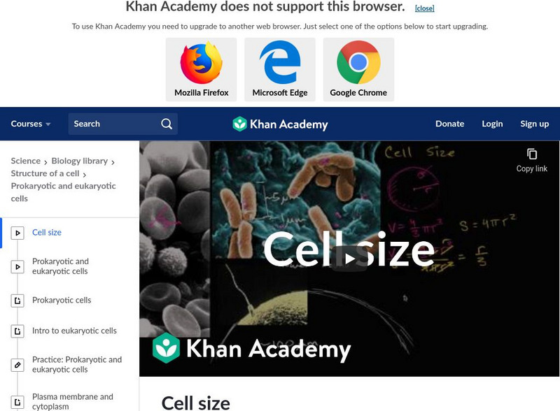 Khan Academy: Structure of a Cell: Cell Size Instructional Video Khan Academy: Structure of a Cell: Cell Size Instructional Video