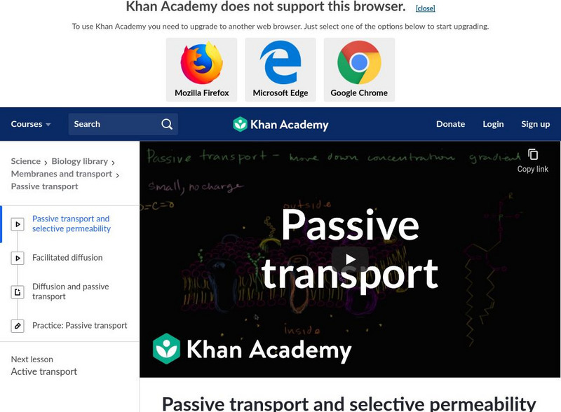 Khan Academy: Passive Transport and Selective Permeability Instructional Video Khan Academy: Passive Transport and Selective Permeability Instructional Video