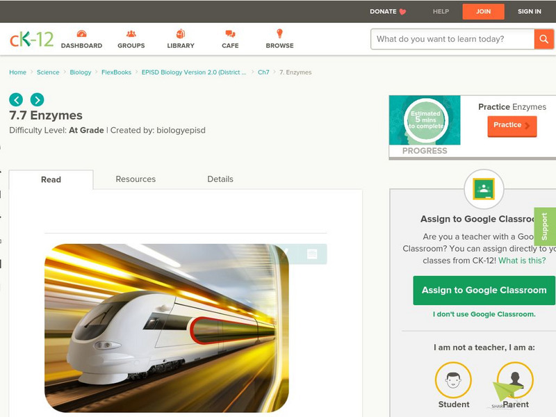 Ck 12: Enzymes Activity Ck 12: Enzymes Activity