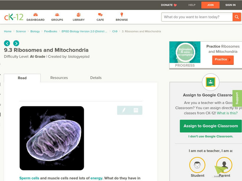 Ck 12: Ribosomes and Mitochondria Activity Ck 12: Ribosomes and Mitochondria Activity