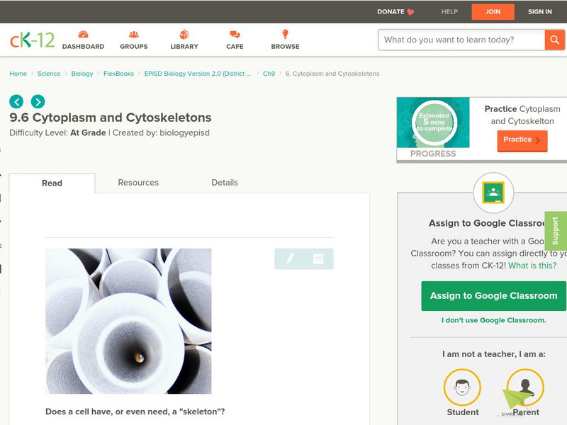 Ck 12: Cytoplasm and Cytoskeletons Activity