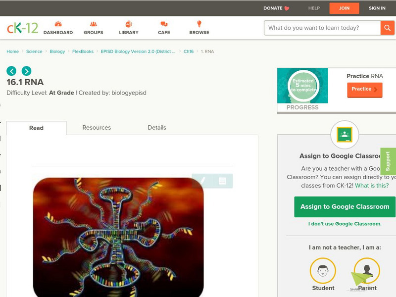 Ck 12: Rna Unit Plan Ck 12: Rna Unit Plan