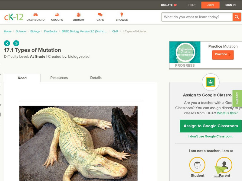 Ck 12: Types of Mutation Unit Plan