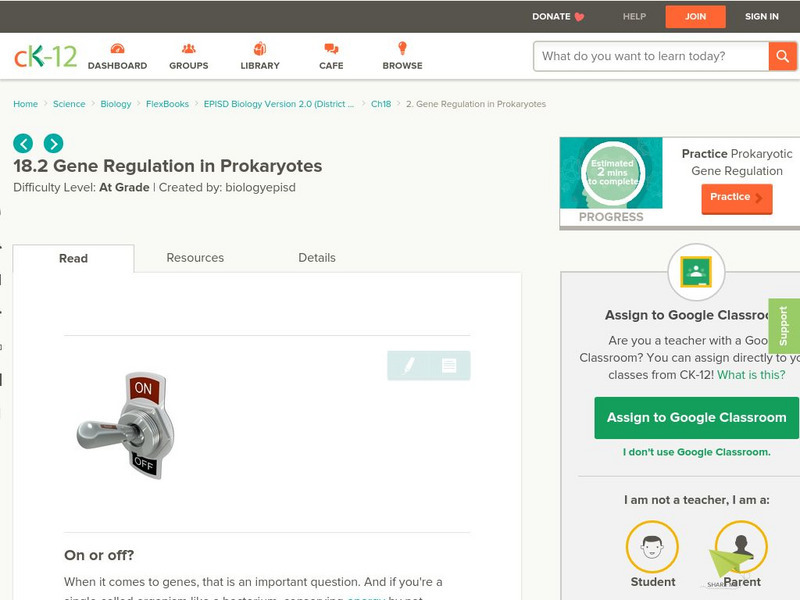Ck 12: Gene Regulation in Prokaryotes Unit Plan Ck 12: Gene Regulation in Prokaryotes Unit Plan