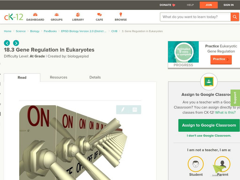 Ck 12: Gene Regulation in Eukaryotes Unit Plan Ck 12: Gene Regulation in Eukaryotes Unit Plan