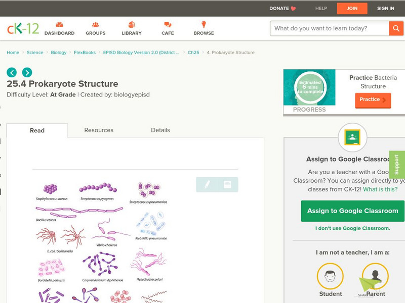 Ck 12: Episd: Prokaryote Structure Unit Plan Ck 12: Episd: Prokaryote Structure Unit Plan