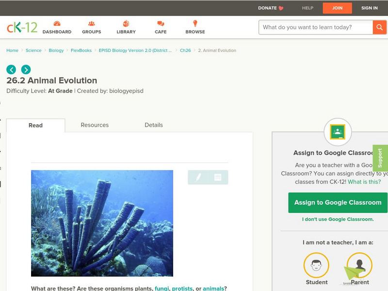 Ck 12: Episd: Animal Evolution Unit Plan Ck 12: Episd: Animal Evolution Unit Plan