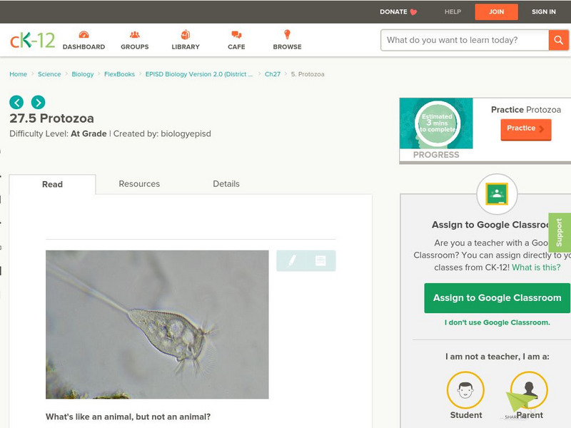 Ck 12: Episd: Protozoa Unit Plan Ck 12: Episd: Protozoa Unit Plan