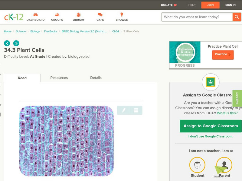 Ck 12: Episd: Plant Cells Unit Plan Ck 12: Episd: Plant Cells Unit Plan