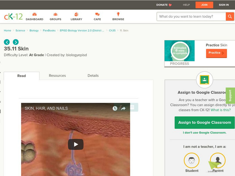 Ck 12: Episd: Skin Unit Plan