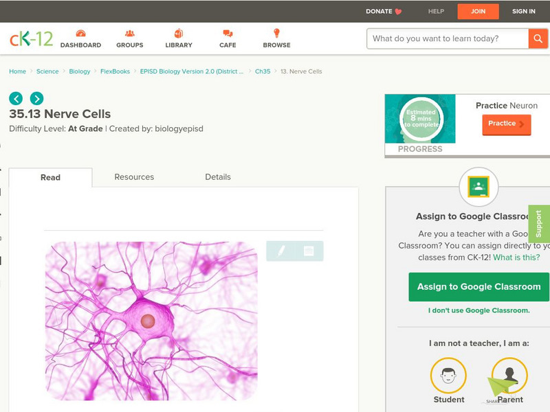 Ck 12: Episd: Nerve Cells Unit Plan