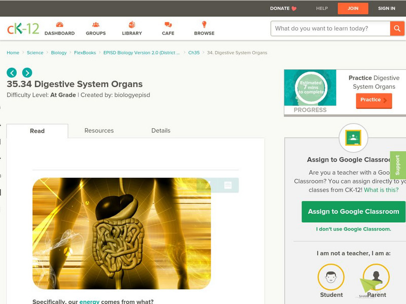 Ck 12: Digestive System Organs Unit Plan Ck 12: Digestive System Organs Unit Plan