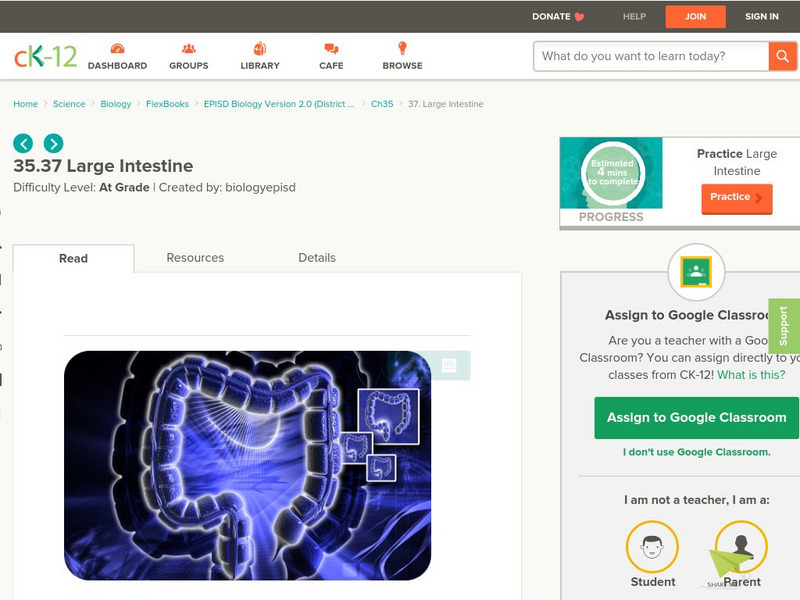 Ck 12: Large Intestine Unit Plan Ck 12: Large Intestine Unit Plan