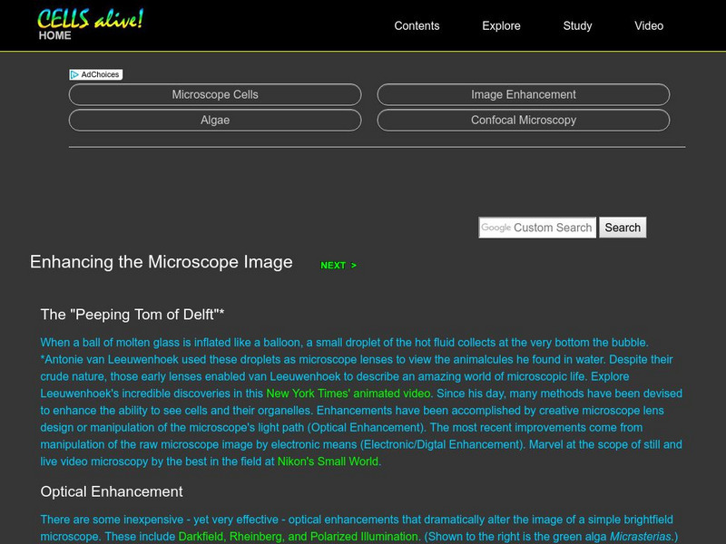 Cells Alive!: Enhancing the Microscope Image Graphic