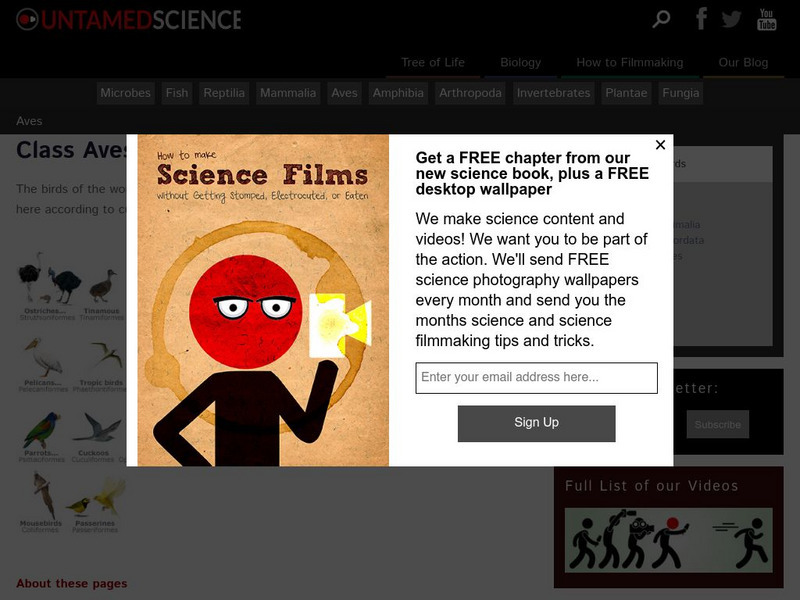 Untamed Science: Biodiversity: Animals: Chordates: Birds: Class Birds Website Untamed Science: Biodiversity: Animals: Chordates: Birds: Class Birds Website
