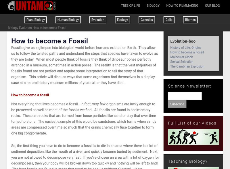 Untamed Science: Biology: Evolution: How to Become a Fossil Website Untamed Science: Biology: Evolution: How to Become a Fossil Website